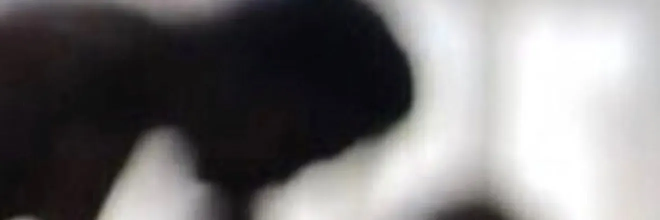 OnlyFans account  htuvuy header 2