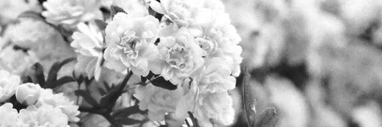 OnlyFans cuenta karoou_hd header 1