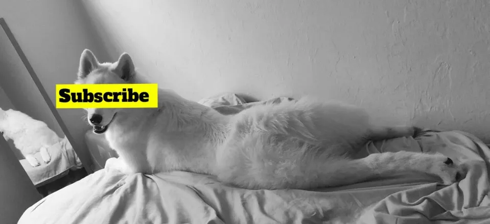 OnlyFans cuenta tayormay header 2