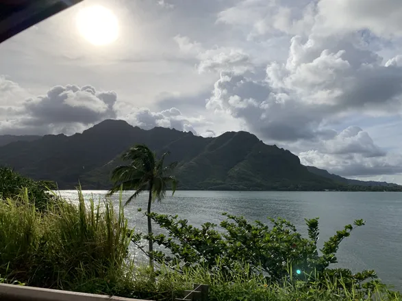 OnlyFans cuenta kailanimoana89 header 2