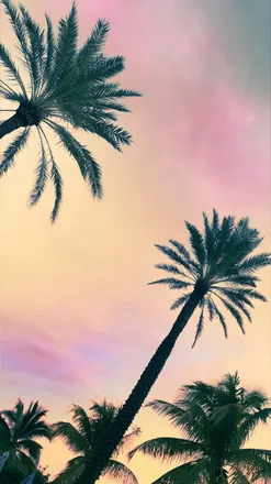 OnlyFans cuenta dr.sweetie header 2