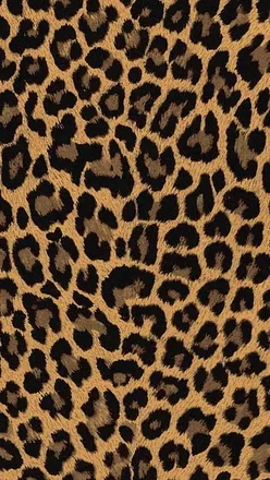 OnlyFans cuenta itsyagirlltayyy header 2