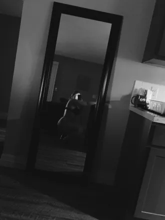 OnlyFans cuenta taylarae070 header 2