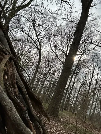OnlyFans cuenta amelianyx header 2