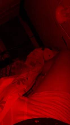 OnlyFans cuenta xxx.tom header 2
