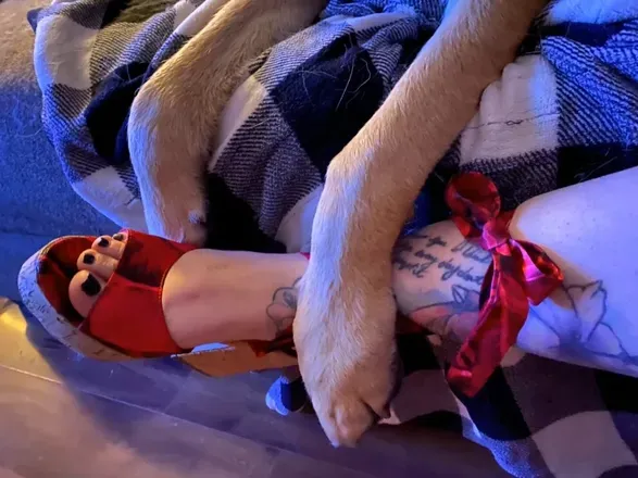 OnlyFans cuenta sexy_paws4 avatar 1