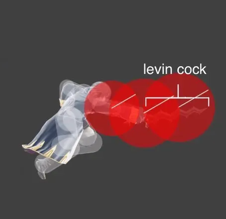 OnlyFans cuenta levin_cock header 2