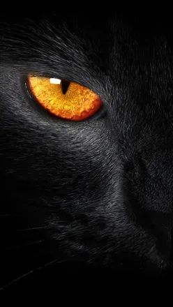 OnlyFans cuenta blackpanther4 avatar 1