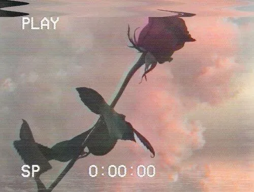 OnlyFans cuenta sunflower1874 header 2