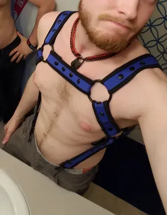 OnlyFans cuenta alphapupwrexx avatar 1