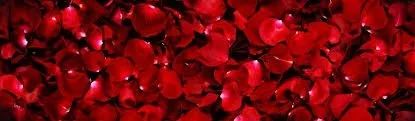 OnlyFans cuenta bestcoupleforever header 2