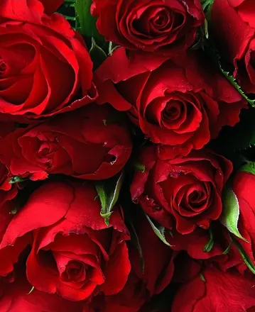OnlyFans cuenta alwaysme1982 header 2