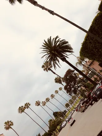 OnlyFans cuenta bigjerm1 header 2
