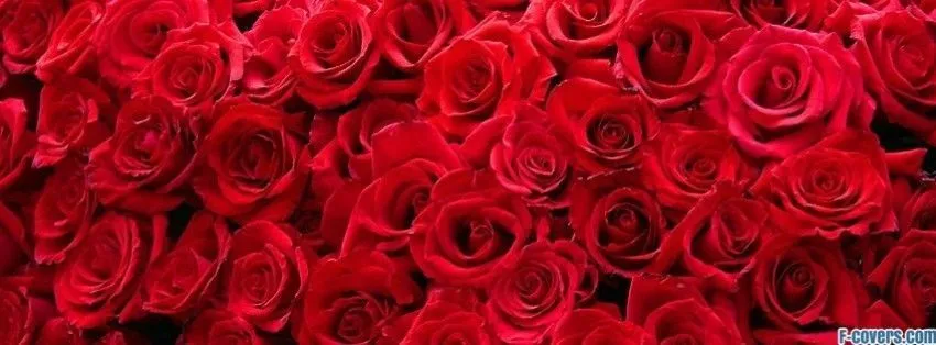 OnlyFans cuenta u38245072 header 2