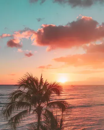 OnlyFans cuenta pnwsunshine header 2