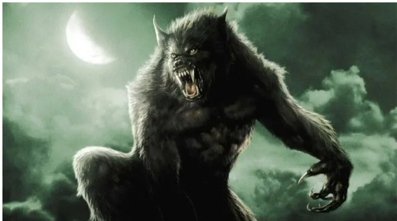 OnlyFans cuenta texaswerewolf18 header 2