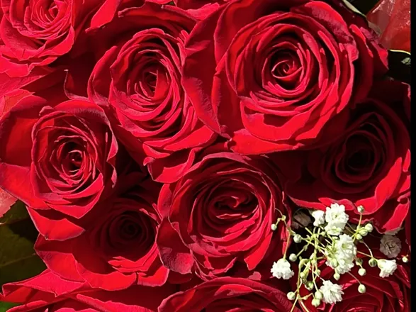 OnlyFans cuenta princessscherryyyy header 2