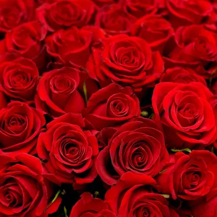 OnlyFans cuenta danigallego header 2