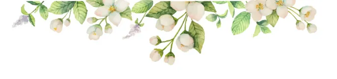 OnlyFans cuenta flowergal_ header 2