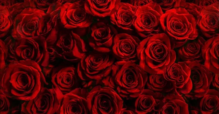 OnlyFans account  redteaser header 2