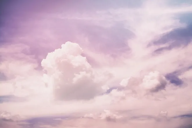 OnlyFans cuenta roses_of_harvey header 2