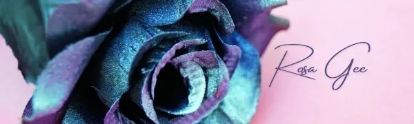 OnlyFans cuenta rosagee header 2