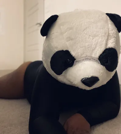 OnlyFans cuenta playbear8 header 2
