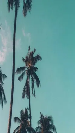 OnlyFans cuenta marvinjacobs header 2