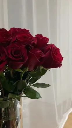 OnlyFans cuenta jennarosenl header 2