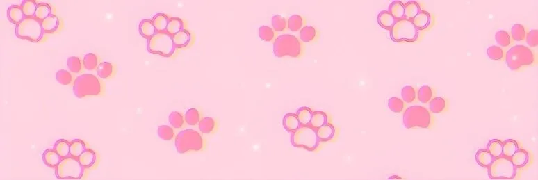 OnlyFans cuenta vexium header 2