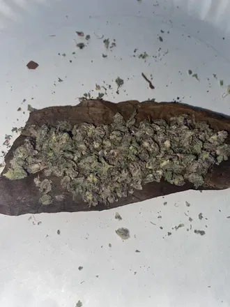 OnlyFans cuenta bagchasin420 header 2