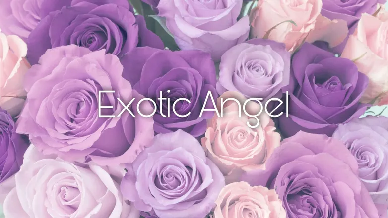 OnlyFans cuenta exoticangelx header 1