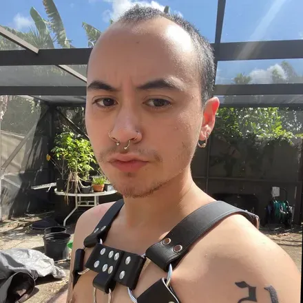 OnlyFans cuenta denimlingerie avatar 1