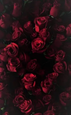 OnlyFans account  babygirl242020free header 2