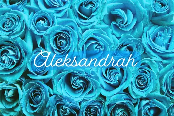 OnlyFans cuenta sexyaleksandrah header 2