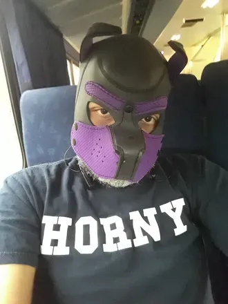 OnlyFans cuenta phoenix_pup avatar 1