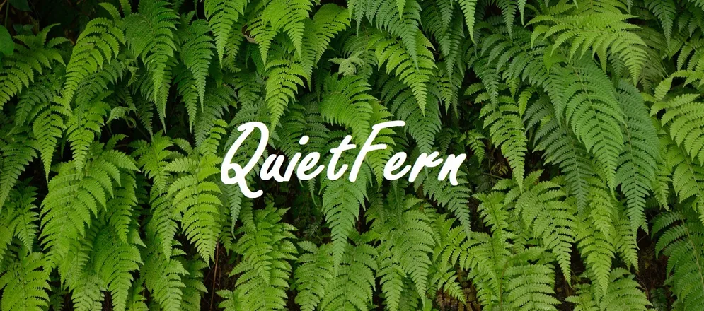 OnlyFans cuenta quietfern header 1