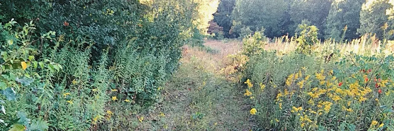 OnlyFans cuenta naturebabes header 2