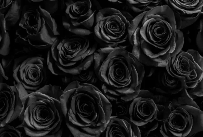 OnlyFans account  tiiniweeny header 2