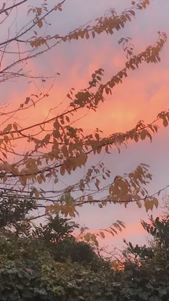 OnlyFans cuenta ares_m header 2