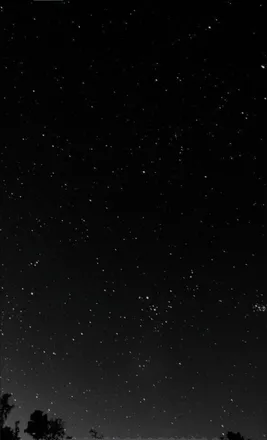 OnlyFans cuenta bondeviouz header 2
