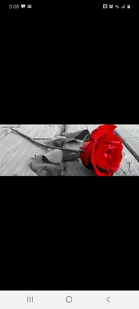 OnlyFans cuenta katiieemariiee header 2