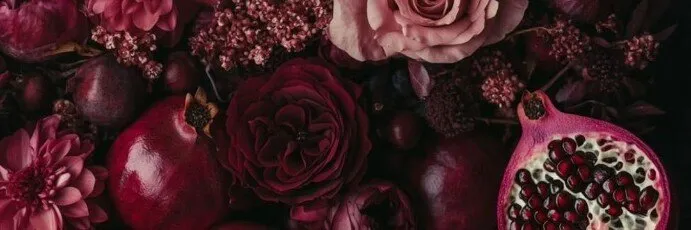 OnlyFans cuenta avalon.bordeaux header 2