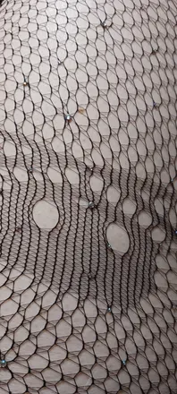 OnlyFans account  transissexy header 2