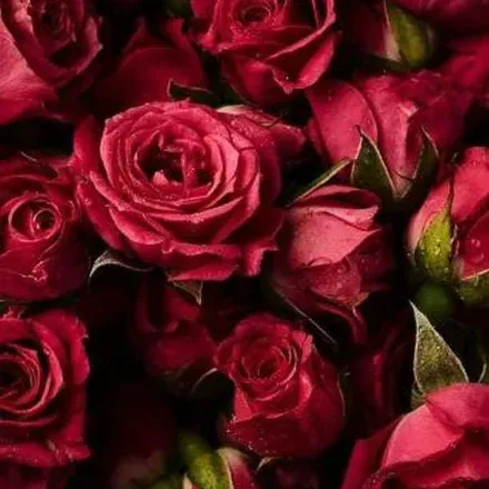 OnlyFans cuenta crimsoncassidy60 header 2