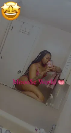 OnlyFans account  bigfatmoose avatar 1