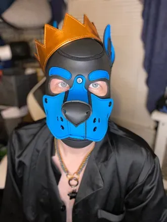 OnlyFans account  starr_pup avatar 1