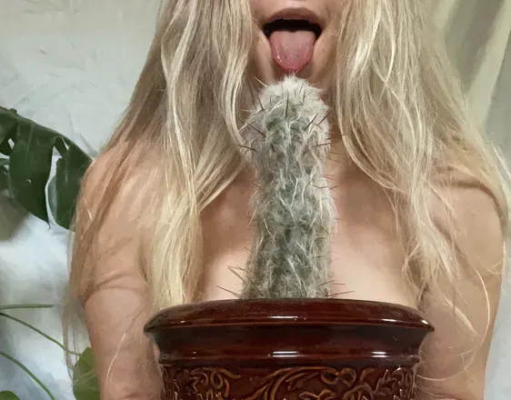 OnlyFans cuenta icytitties101 avatar 1