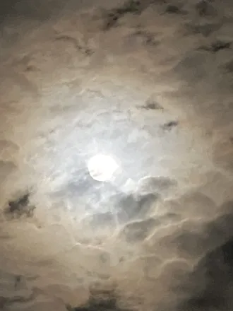 OnlyFans account  workingbitch header 2