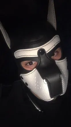 OnlyFans cuenta zeecopuppy avatar 1